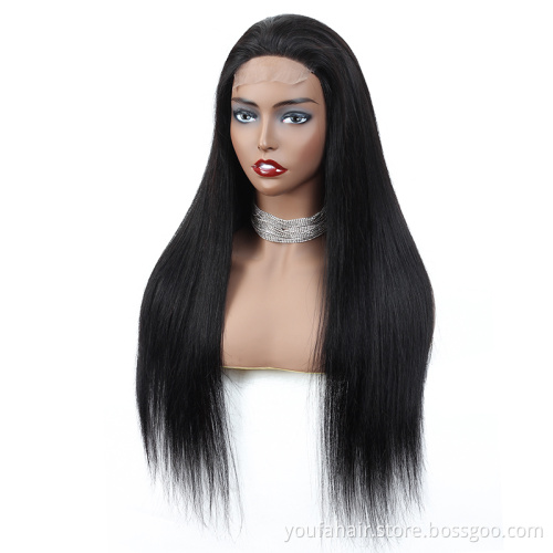 Raw Indian Hair Wig Vendor Straight Glueless Lace Closure Human Hair Wig Virgin Cuticle Aligned Hair Unprocessed 4x4 HD Lace Wig